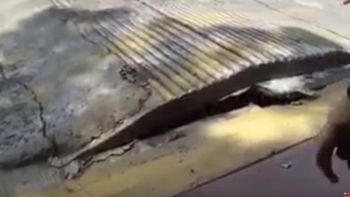 Extraño fenómeno en el asfalto tras el terremoto en México Extraño fenómeno en el asfalto tras el terremoto en México