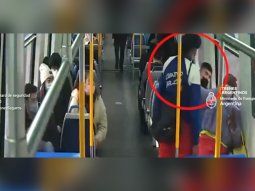 Agredió a una mujer en el tren y fue detenida