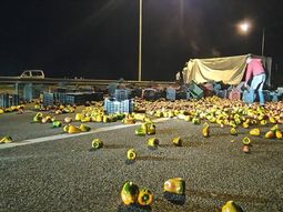 un camion cargado de morrones volco sobre la panamericana un camion cargado de morrones volco sobre la panamericana