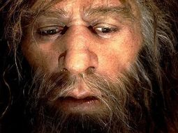 Un estudio revela que los neandertales no solo comían carne sino también vegetales