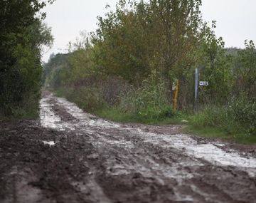 Asegura que vio un león suelto y la Provincia desplegó un megaoperativo