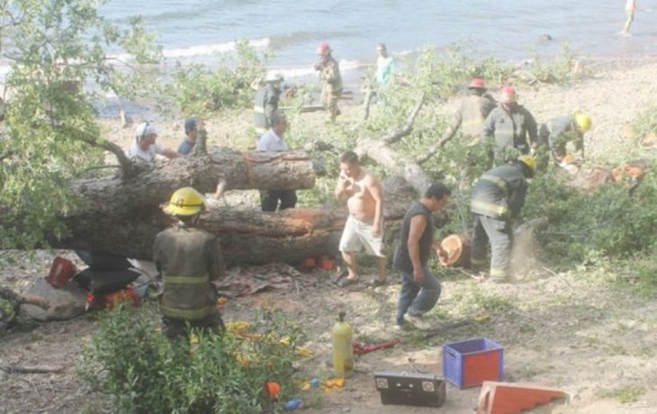 Dos nenes murieron aplastados por un árbol mientras estaban jugando