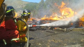 continua sin control el incendio forestal desatado en neuquen continua sin control el incendio forestal desatado en neuquen