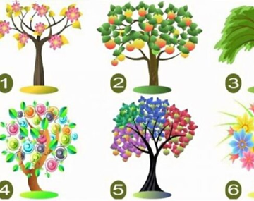 El test que revela cuál es el punto fuerte de tu personalidad según el arbol que elijas