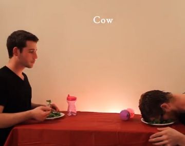 Dos chicos con mucho tiempo libre