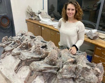 Gran descubrimiento del Conicet en Chubut: qué se sabe del dinosaurio Bicharracosaurus
