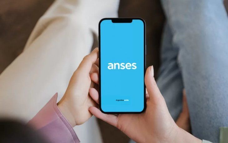 Estos son los usuarios que pueden acceder a este programa exclusivo de ANSES.