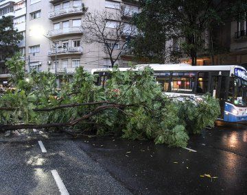 Cómo sigue el tiempo en el AMBA tras el temporal de lluvia y granizo