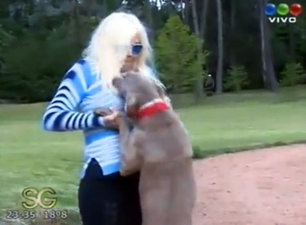 Susana Giménez recibió ayuda para domesticar a su perra Thelma