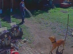 un policia le tira gas pimienta a un perro que estaba encadenado: mira el video un policia le tira gas pimienta a un perro que estaba encadenado: mira el video