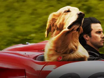 Cuenta la historia sobre un perro y una familia con la que es imposible no llorar Cuenta la historia sobre un perro y una familia con la que es imposible no llorar