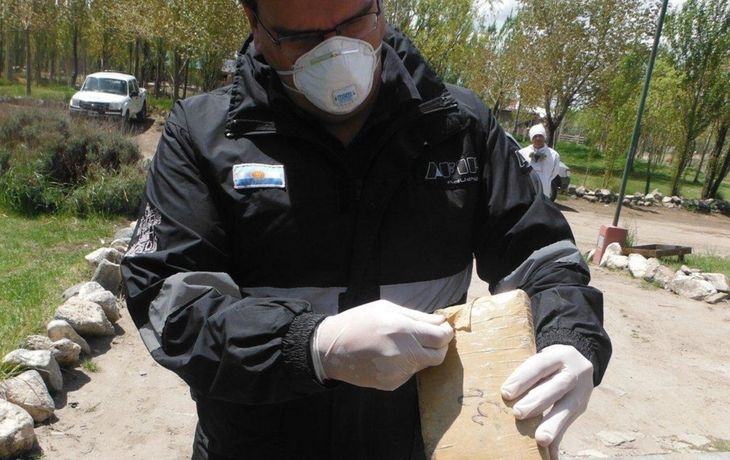 Quemaron 343 kilos de droga secuestrada en pasos fronterizos de Neuquén