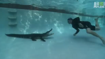 se arriesgan a meterse en una pileta con un cocodrilo se arriesgan a meterse en una pileta con un cocodrilo