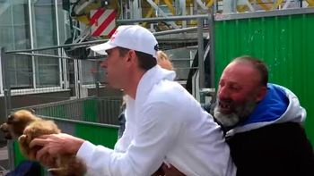 polemica por el video en el que unos rescatistas le sacan el perro a un vagabundo polemica por el video en el que unos rescatistas le sacan el perro a un vagabundo