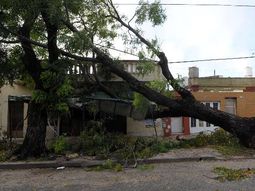 Temporal en Buenos Aires (Télam) Temporal en Buenos Aires (Télam)