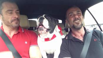 el bulldog que canta a la par de sus duenos el bulldog que canta a la par de sus duenos