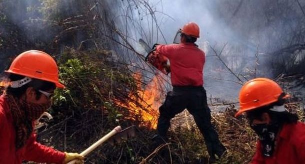 Un incendio forestal arrasó con 1500 hectáreas en Catamarca