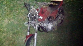 Se mató al chocar contra un caballo Se mató al chocar contra un caballo