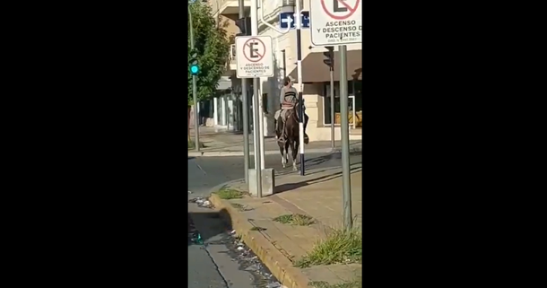 Se fue a cortar el pelo y estacionó al caballo en la puerta del local
