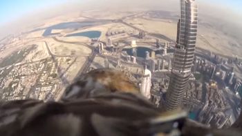 mira el vuelo de un aguila filmado desde su lomo mira el vuelo de un aguila filmado desde su lomo