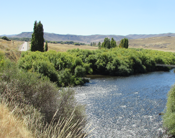 Gentileza ElAndino.ar