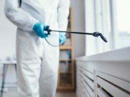 Este truco casero te ayudará a eliminar, por completo, a las cucarachas.&nbsp;