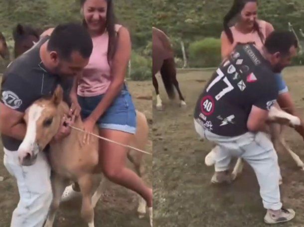 Video: una joven montó un potrillo de un mes y causó indignación en redes