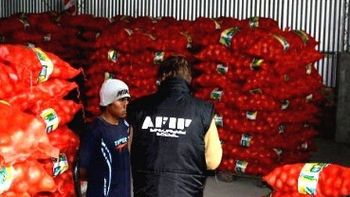 detectaron una evasion millonaria en una exportadora detectaron una evasion millonaria en una exportadora