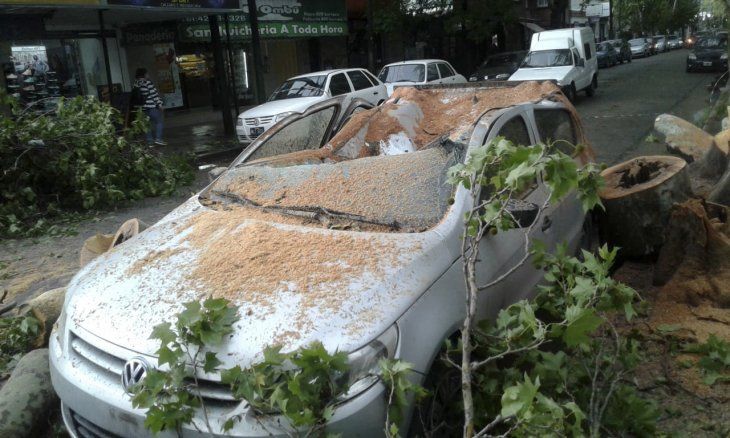 Dónde está el ciclón extratropical