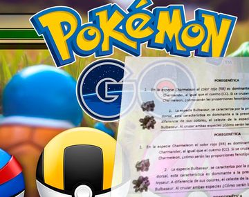 La pokeprueba maestra