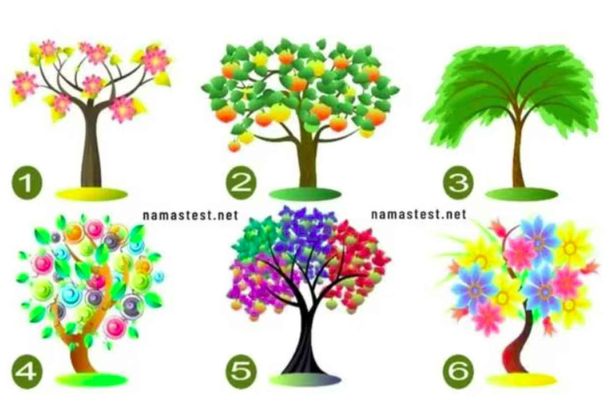 Test viral: el árbol que elijas de la imagen revelará un dato importante de tu vida