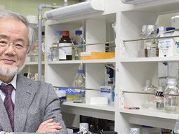 El ganador del Nobel, Yoshinori Ohsumi El ganador del Nobel, Yoshinori Ohsumi