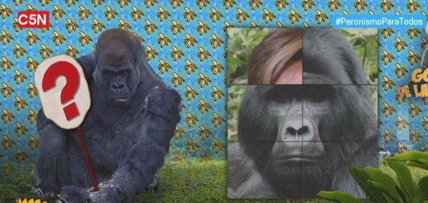 Quién es El Gorila de la semana del programa de Dady Brieva