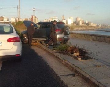 Le sacaron el registro de conducir al chico que grabó su propio choque en Mar del Plata