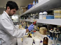 Entró en la etapa final el desarrollo de la vacuna argentina contra el Covid-19