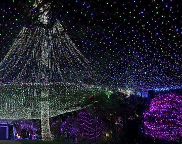 Record luces navideñas 1
