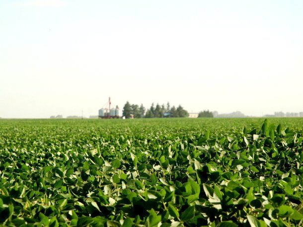 El Gobierno declaró la emergencia agropecuaria en las provincias de Buenos Aires, Entre Ríos y Río Negro