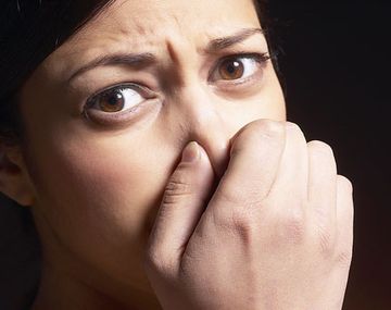 Este truco casero explica cómo eliminar el mal aliento que provoca el ajo.&nbsp;