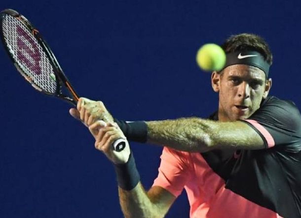 Del Potro vs. David Ferrer