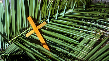 Comparte frases bonitas este Domingo de Ramos. Comparte frases bonitas este Domingo de Ramos.