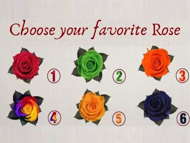 Test viral: la rosa que elijas revelará información importante sobre tu persona