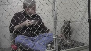 un veterinario se metio en la jaula de un perro para desayunar juntos un veterinario se metio en la jaula de un perro para desayunar juntos