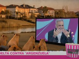 los imperdibles chats de los vecinos conchetos de nordelta que revelo jorge rial los imperdibles chats de los vecinos conchetos de nordelta que revelo jorge rial