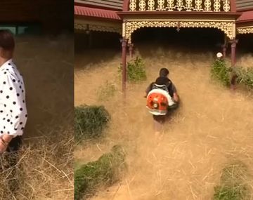 Pánico peludo enloquese a los australianos