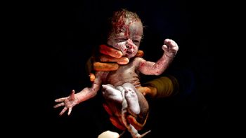 fotos de bebes a segundos de haber nacido fotos de bebes a segundos de haber nacido