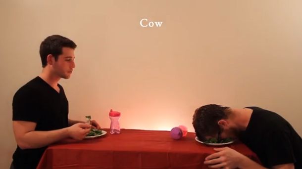 Dos chicos con mucho tiempo libre