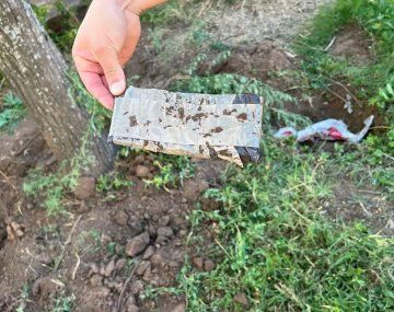 Encontraron enterrados en un baldío 63 mil dólares y un millón de pesos que habían sido robados