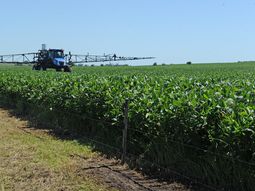 Algunas multinacionales estiman una cosecha de alreedor e 800.000 toneladas de soja en Uruguay. Algunas multinacionales estiman una cosecha de alreedor e 800.000 toneladas de soja en Uruguay.