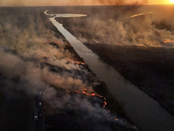 Alberto Fernández: No podemos tolerar que continúe habiendo incendios en el Delta