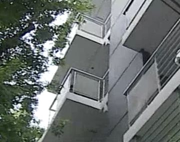 Cayeron dos ladrones que robaban departamentos al estilo hombre araña